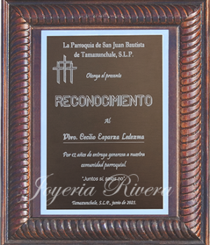 RECONOCIMIENTO-ITALIA-MUESTRA